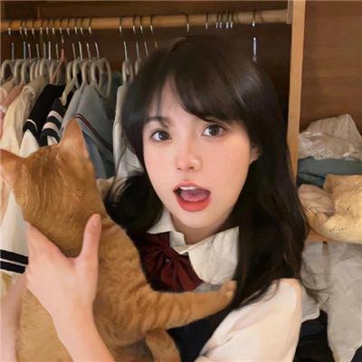 蟾蜍之路