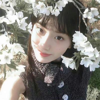 火药之心